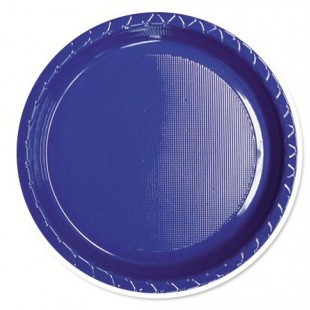 Blue Dinner Plates - 223mm (Pack of 25)