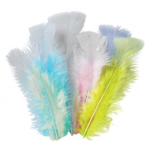 Feathers - Pastel 10g