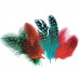 Guinea Fowl Feathers 10g Assorted (Pack of 100)
