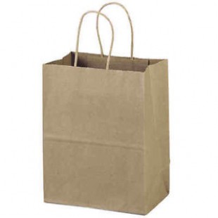 Brown Bag with Twist Handle 420x320 (Pack of 50)