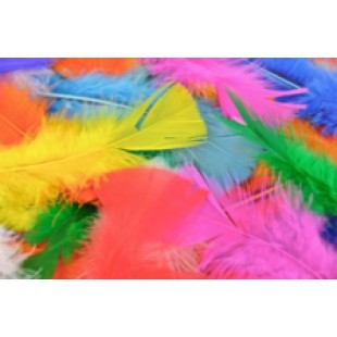 Feathers - Assorted Colours (Pack of 250)
