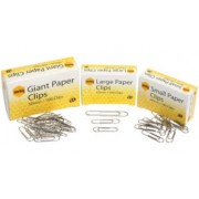 Paper Clips (Pack of 100)