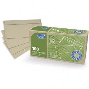 Envelopes 100% Recycled DL Plain Face