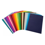 Cover Paper 380x510mm Assorted Colours (Pack of 500)