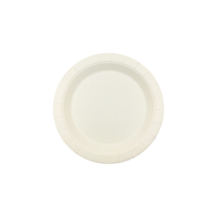 Paper Plates 230mm (Pack of 100)