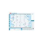 Sasco Planner 2023 610x870mm Standard Year To View